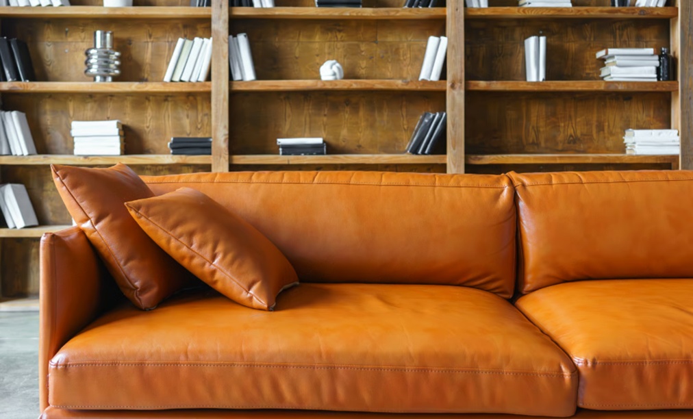  Leather Upholstery Appeals